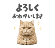 856752904