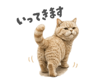 856752905