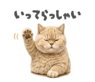 856752906