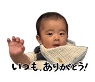 856753194