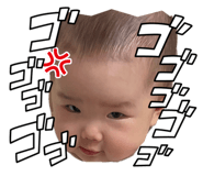 856753310