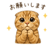 856753427