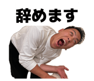 856753687
