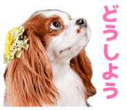 856754010