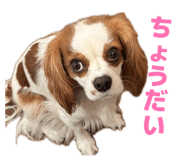 856754016