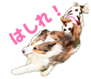 856754019