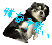 856755243