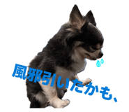 856755249