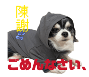 856755250