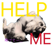 856755255