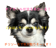 856755256