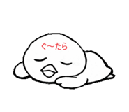 856755564