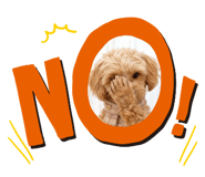 856756971