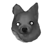 856757059