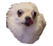 856757069