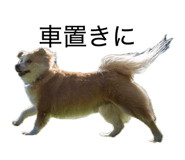 856757797