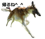 856757798
