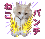 856757988