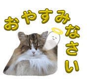856757989