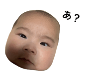 856758116