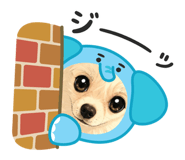 856758648