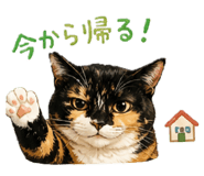 856758820