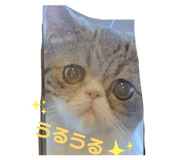 856759138