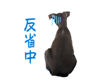 856759499