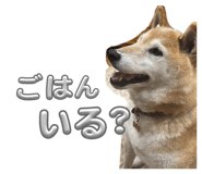 856760961