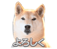 856760963