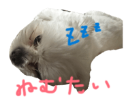 856761250