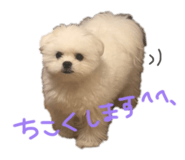 856761264