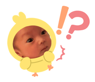 856761532