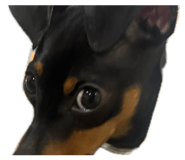 856762374