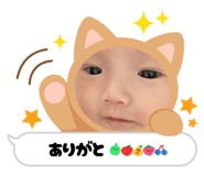 856762405