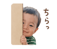 856762445