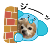 856762626