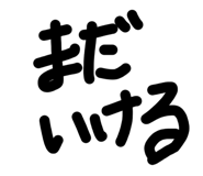 856763047