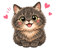 856763316