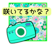 856763547
