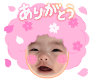 856763553