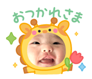 856763562