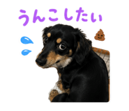 856763601