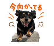 856763606