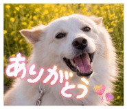856763745