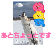 856763748