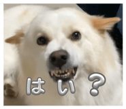 856763755