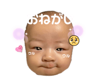 856763805