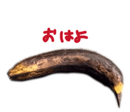 856764217