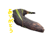 856764219